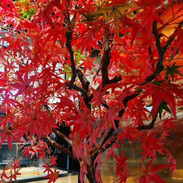 Custom Large Artificial Red Maple Tree for Indoor & Outdoor Decor | Realistic Fake Maple Tree for Commercial Projects - Image 4