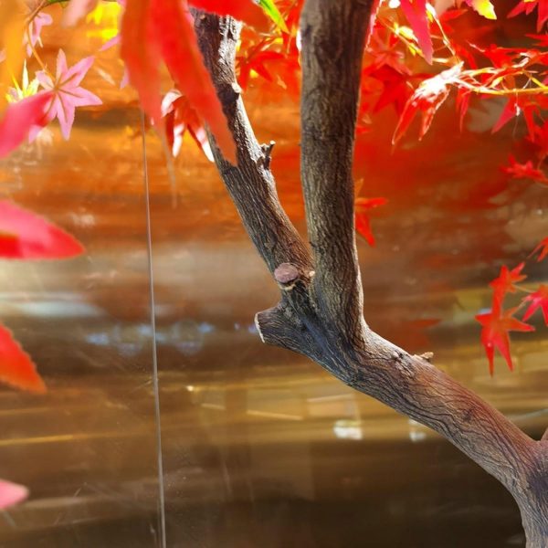 Custom Large Artificial Red Maple Tree for Indoor & Outdoor Decor | Realistic Fake Maple Tree for Commercial Projects - Image 5