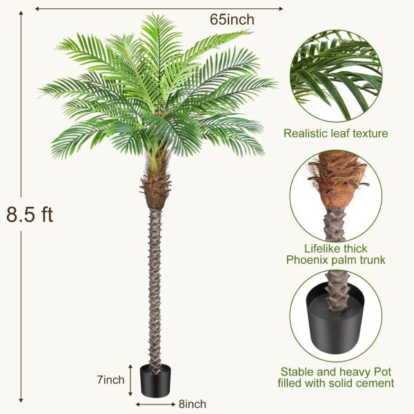 tropical coconut tree decoration