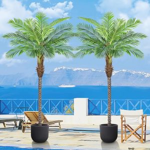 tropical coconut tree decoration