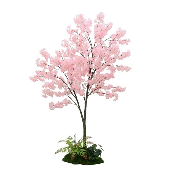 Cherry Blossom Tree