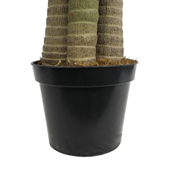 Artificial Fan Palm Tree