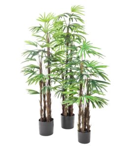 Artificial Klenge Palm