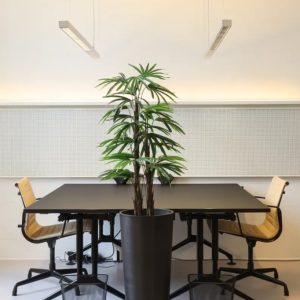 Artificial Klenge Palm