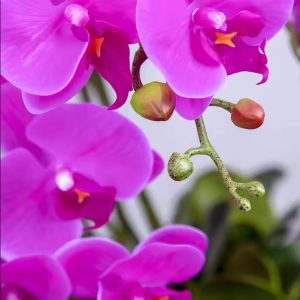 Artificial Purple Phalaenopsis Potted Plant