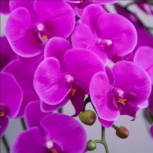 Artificial Purple Phalaenopsis Potted Plant