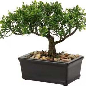 Artificial Welcoming Pine Bonsai Tree