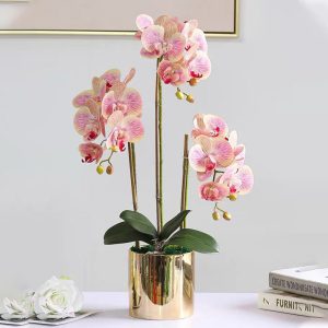 Real-touch artificial orchid plant in pot