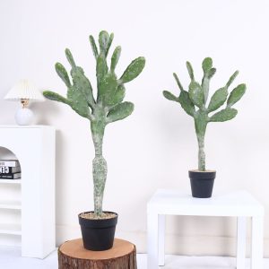Artificial cactus plant for office decoration