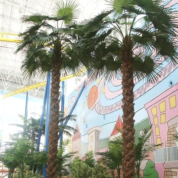 Custom artificial palm trees for commercial interiors