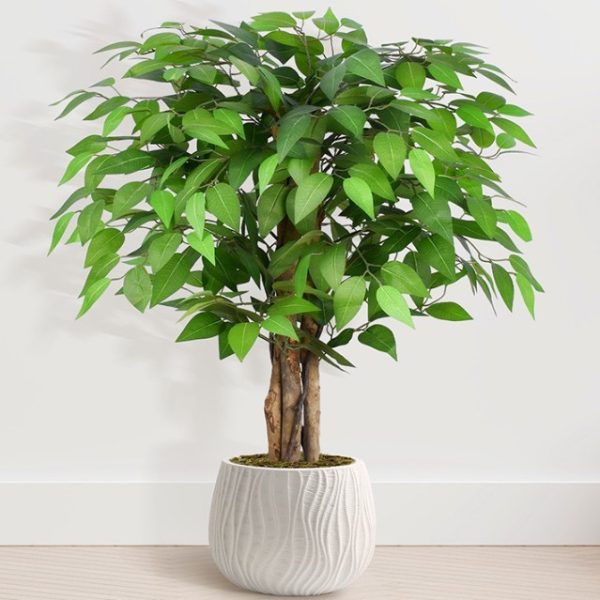 Artificial ficus tree for commercial spaces