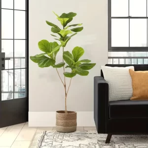 High-end artificial banyan rubber plant for hotel lobbies