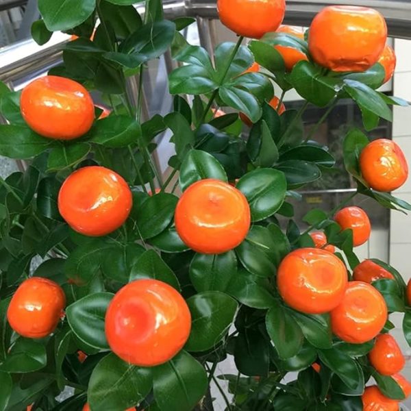 Lifelike citrus fruit tree for decor