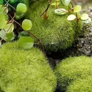 Luxury faux moss rocks for retail visual merchandising