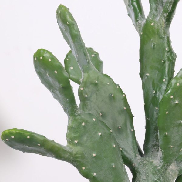 Faux potted cactus for commercial interior design