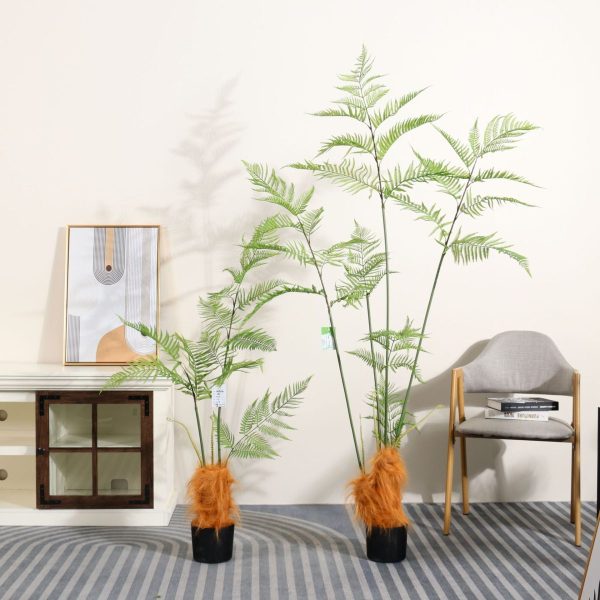 tropical plants