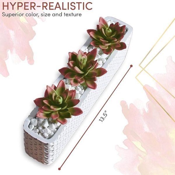 Faux Crassula succulent plants for office decor