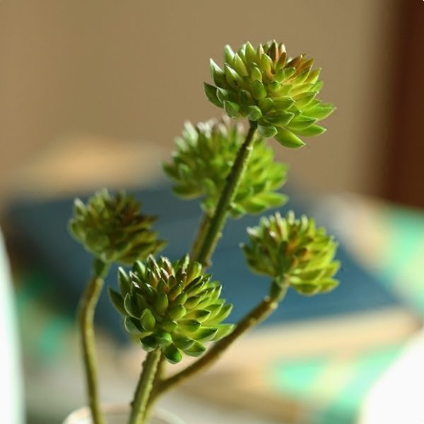 UV-resistant artificial plants for interiors