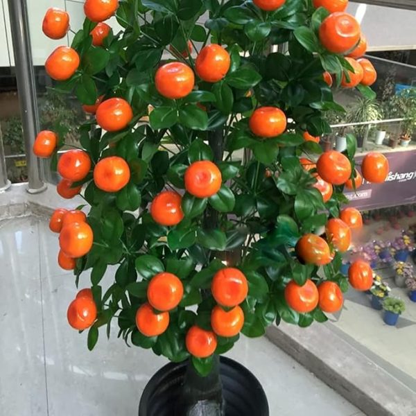 Commercial artificial fruit plant