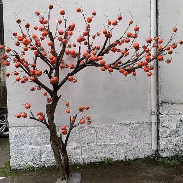 Decorative persimmon tree indoor display