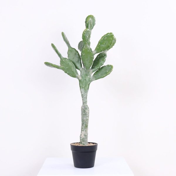Low-maintenance artificial cactus for retail display