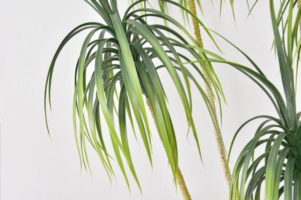 Realistic artificial plants for hotel lobbies