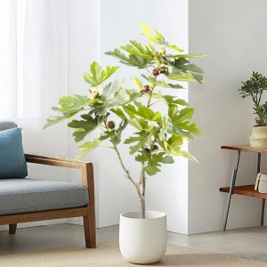 Luxury artificial fig tree for hotel lobbies