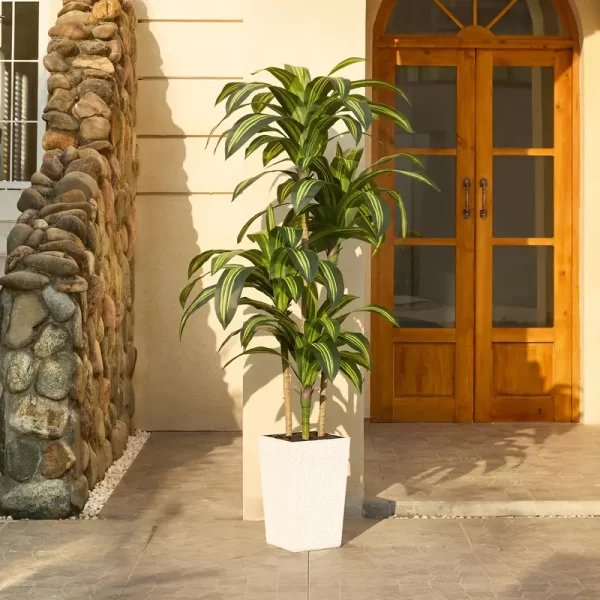 UV-stable commercial dragon tree for retail design