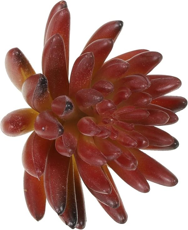 Realistic artificial succulent for office and retail