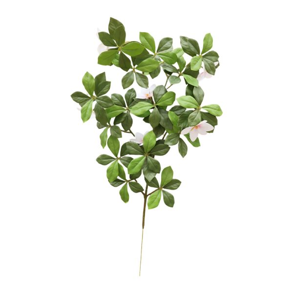 UV-stable commercial gardenia foliage for office interiors