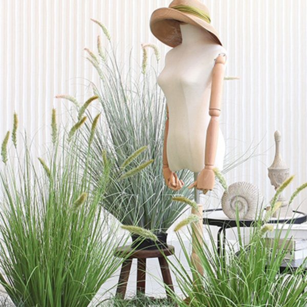 UV-Resistant Plants