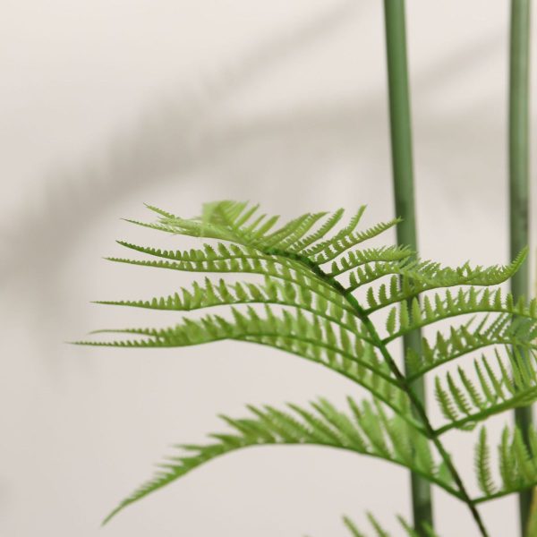 interior decoration