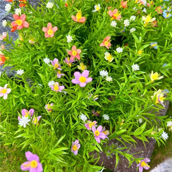 event flowers