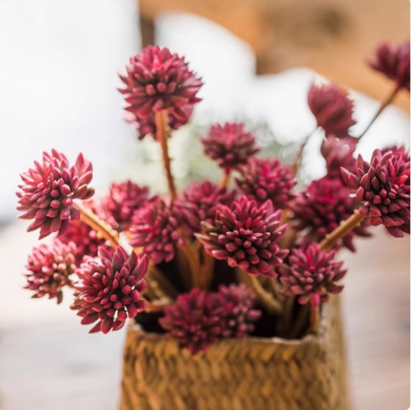 Realistic faux succulent flowers for commercial decor