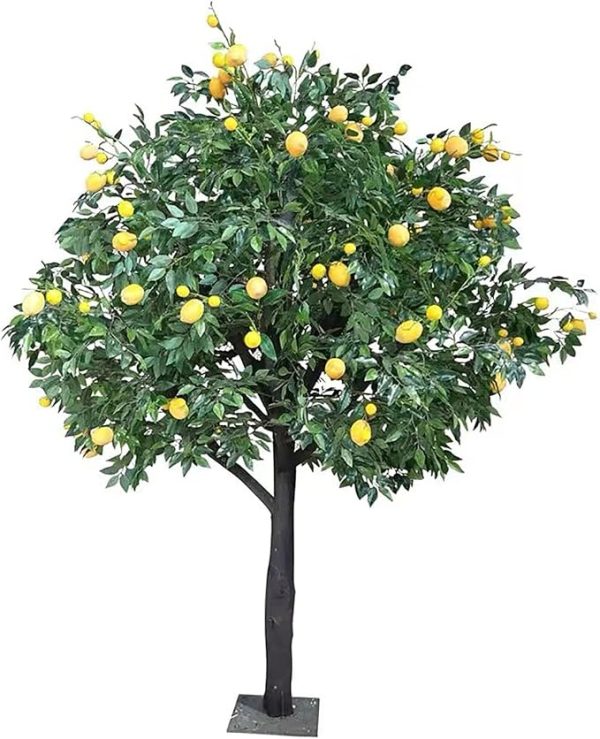 Maintenance-free indoor lemon tree décor
