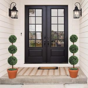 Decorative boxwood topiary plant for hotel lobby
