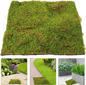 Sustainable moss mat for retail and hotel decor