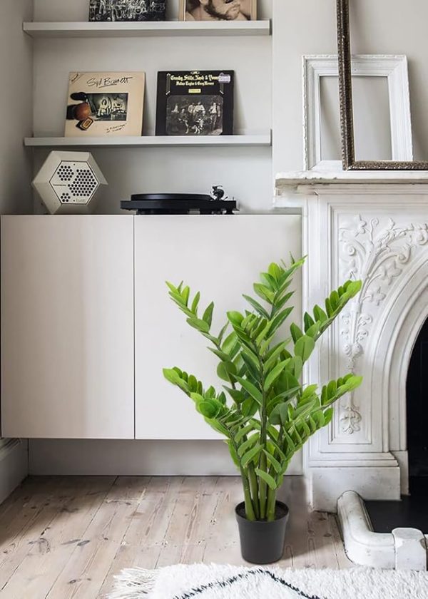 Realistic artificial ZZ plant for reception areas