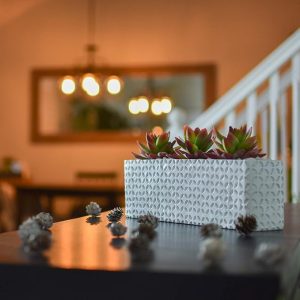 Decorative faux succulents in geometric resin box