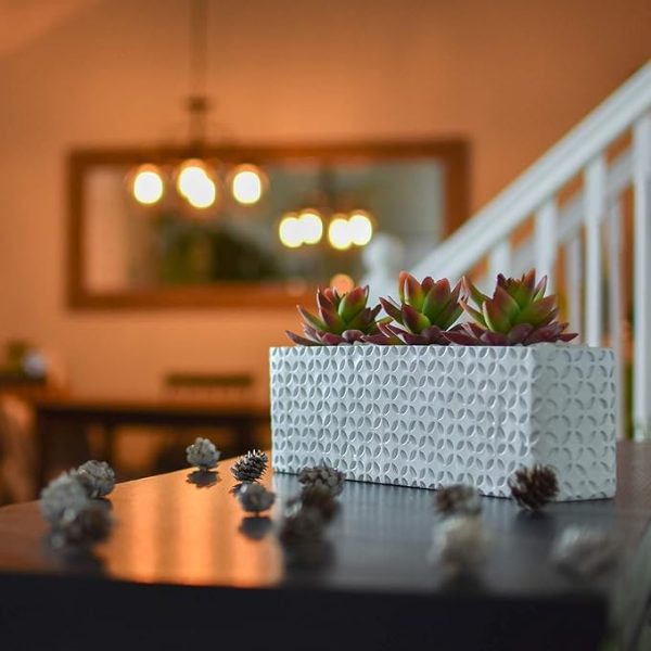 Decorative faux succulents in geometric resin box