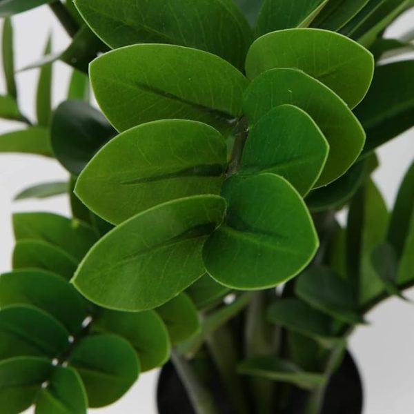 Realistic artificial ZZ plant for reception areas