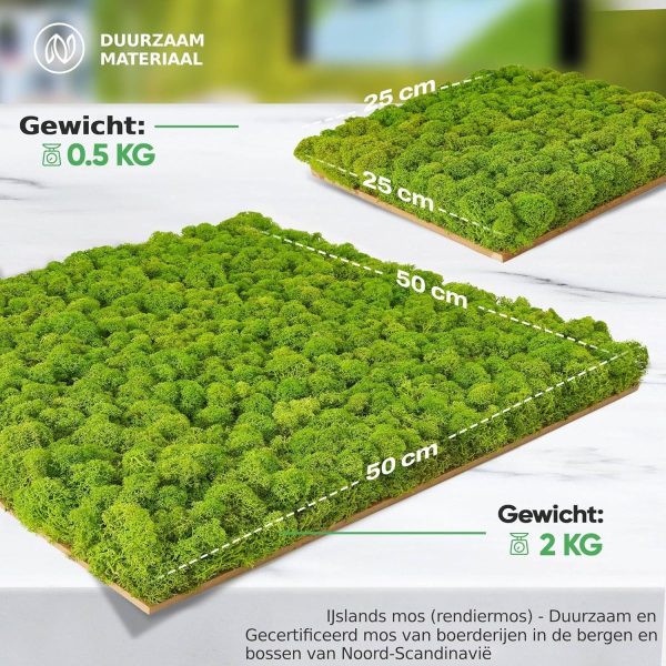 Eco-friendly moss panel for commercial landscaping