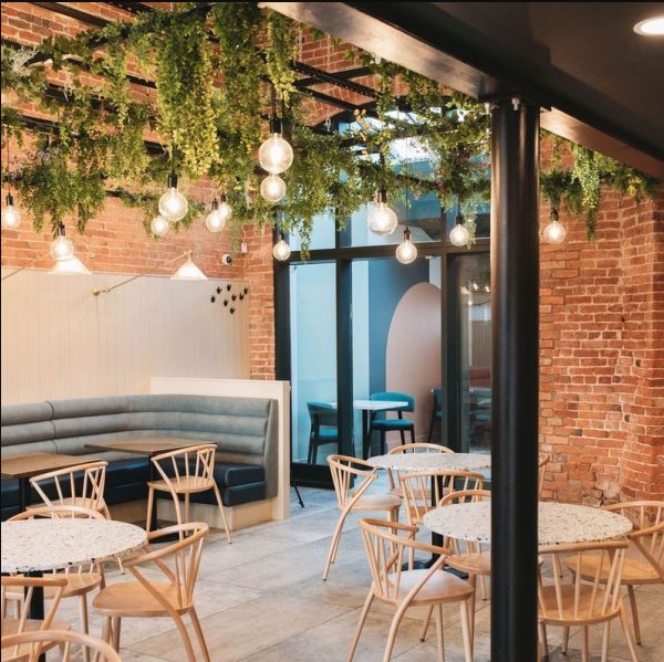 fake plants in restaurant