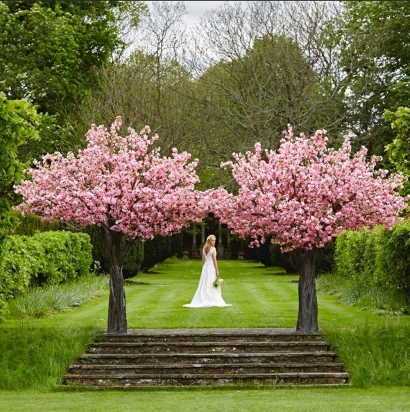 wedding decoration with fake plants