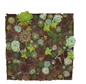 Artificial plant applications