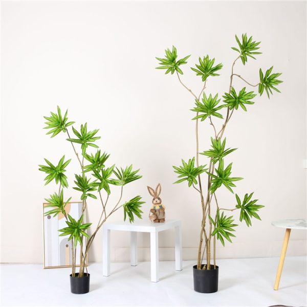 Office Greening