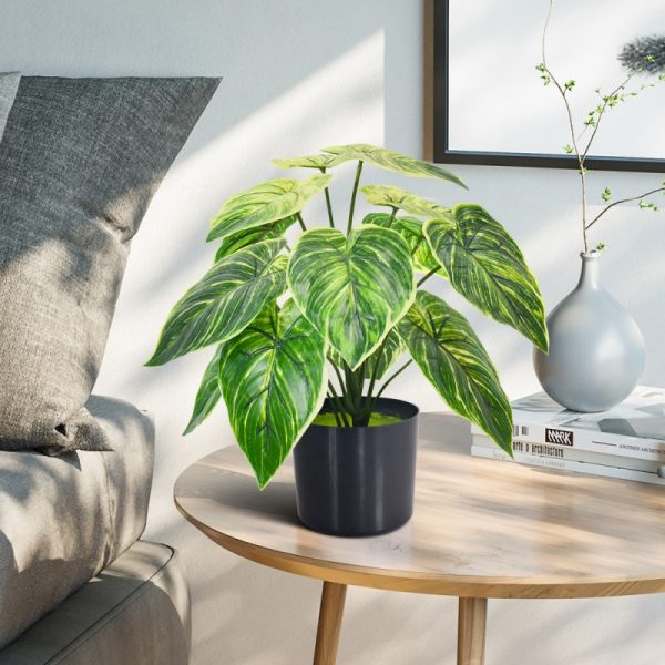 Artificial platinum Aglaonema