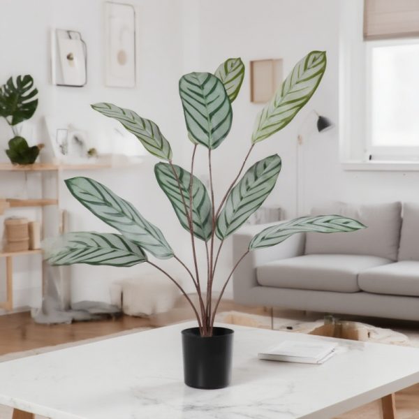 Artificial Calathea Orbifolia