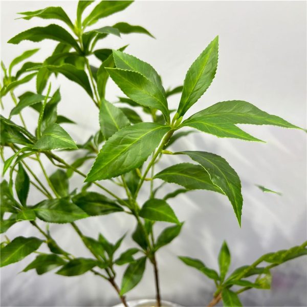 Artificial Plants