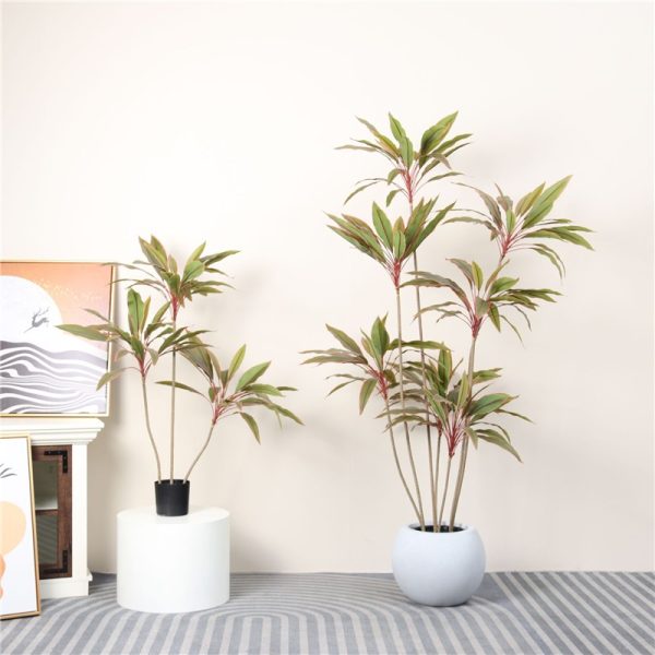 hotel plants
